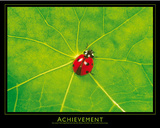 Ladybug (Achievement) Art Poster Print Poster