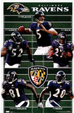 Baltimore Ravens Team Field Sports Poster Print Posters