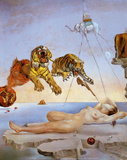 Dream Caused by the Flight of a Bee a Second Before Awakening Affiche par Salvador Dalí