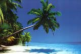 Maldives (Palm Tree Over Beach) Art Poster Print Posters
