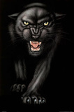 Black Panther Animal Poster Prints