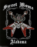 Lynyrd Skynyrd (Sweet Home Alabama Lyrics) Music Poster Print Posters