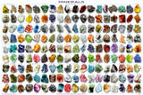 Minerals Educational Science Chart Poster Prints
