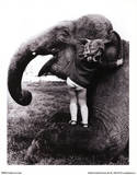 John Drysdale (An Elephant Never Forgets) Art Poster Print Masterprint