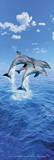 Steve Bloom (Three Dolphins, Door) Art Poster Print Bilder