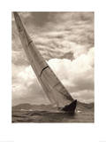 Velsheda Prints by Michael Kahn