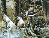 Ducks Unlimited Beaver Pond Tin Sign