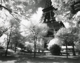 Afternoon in Paris (Eiffel Tower, Park) Plakater