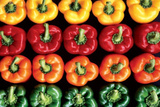 Mixed Peppers (Bell Peppers) Photo Print Poster Photo