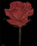 Red Rose (William Shakespeare Romeo & Juliet Script) Art Poster Print Posters Red Rose (William Shakespeare Romeo & Juliet Script) Art Poster Print Posters