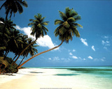 Maldives Morning (Tropical Beach) Art Print Poster Posters