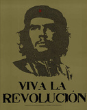 Che Guevara Viva La Revolution UN Speech Text Art Print Poster Photo