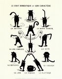 French Caractere (Le Chat Domestique) Poster