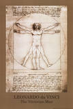 Leonardo da Vinci - Vitruvian Man, Green Border, Art Poster Print Prints
