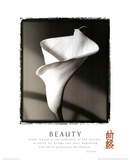 Beauty (Lily, Tao Te Ching Quote) Art Poster Print Kunstdrucke
