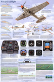 Principles of Flight Aerodynamic Educational Science Chart Poster Poster