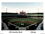 Ira Rosen Chicago White Sox Old Comiskey Park Sports Poster Print Posters