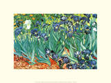 Schwertlilien Poster von Vincent van Gogh