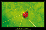 Ladybug (Achievement) Art Poster Print Print