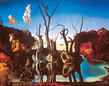 Swans Reflecting Elephants, c.1937 Posters by Salvador Dalí