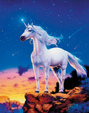 Unicorn (Comets) Art Poster Print Photo