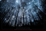 Imagination Keep Your Eyes on the Stars and Your Feet on the Ground Poster