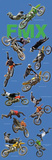 Freestyle Motocross (Riders in Air, FMX) Sports Poster Print Prints