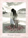 Friends Forever - China Cove, Point Lobos, Art Poster Print Prints