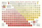 Wine Grape Varietal Table Art Poster Print Poster
