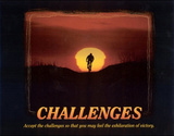 Challenges (Bicyclist) Art Poster Print Photo