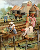 Planting Time Print POSTER black slaves slavery wrong Posters