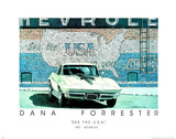 Dana Forrester (See The USA) Art Print Poster Posters