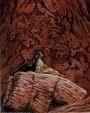 Native American Wolf Rock INDIAN Art Print POSTER GUIDE Posters