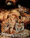 Wild Cat (Montage) Art Print Poster Posters