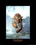 Tiger Wave Runner Wildlife Series Art Print Poster Prints