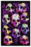Wall of Skulls Blacklight Art Poster Print Photo