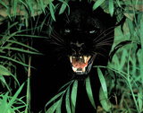 Animal Panther SCARY Black Leopard Art Print POSTER Cat Pósters