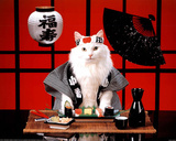 Sushi Cat (Japanese) Photo Print Poster Poster