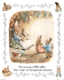 Beatrix Potter Benjamin Bunny Art Print Poster Prints