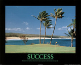 Success (Golf) Art Poster Print Posters