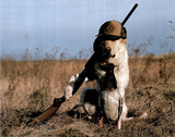Alan and Sandy Carey Dog Gone Hunting Art Print POSTER Prints