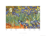 Vincent Van Gogh Les Irises Art Print Poster Posters by Vincent van Gogh