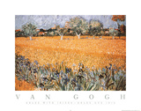 Vincent Van Gogh Arles with Irises Art Print Poster Prints