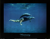 Dolphins w/ nude Woman (Harmony) Photo Print Poster Prints