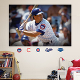 Ryne Sandberg Mural Wall Decal