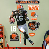 Josh Cribbs Wall Decal
