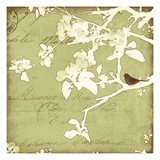 Song Birds I - Green Reproduction procédé giclée par Amy Melious