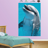 Dolphin Mural Wall Decal