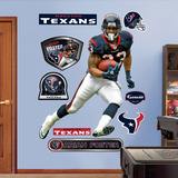 Arian Foster Wall Decal