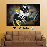 Troy Polamalu Closeup Mural Mode (wallstickers)